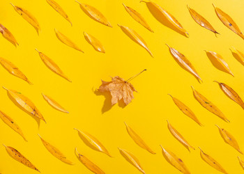 Similar image 21103557