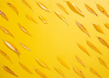 Similar image 21103558