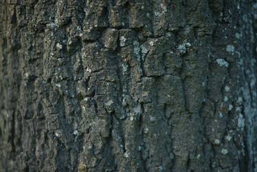 Similar image 21103019