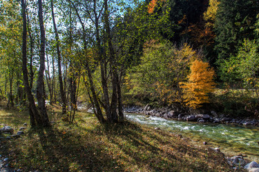 Similar image 21105238