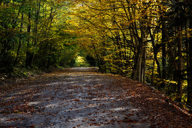 Similar image 21105241