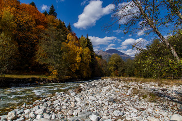 Similar image 21105242