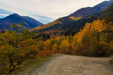 Similar image 21105245