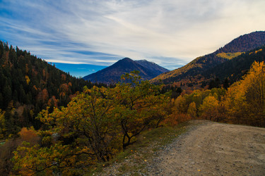 Similar image 21105246