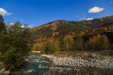 Similar image 21105248