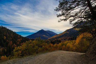 Similar image 21105260