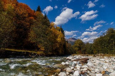 Similar image 21105262