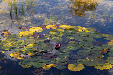 Similar image 21106379