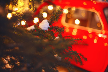 Similar image 21102900