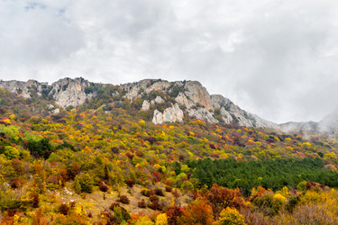 Similar image 21104092