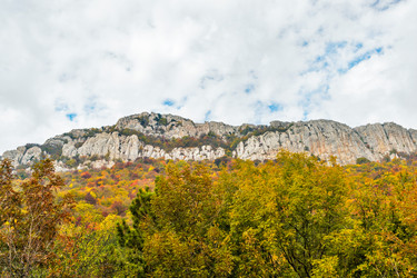 Similar image 21104096