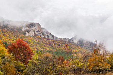 Similar image 21104098