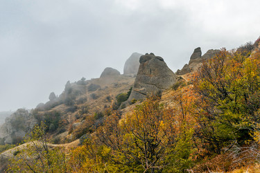 Similar image 21104099