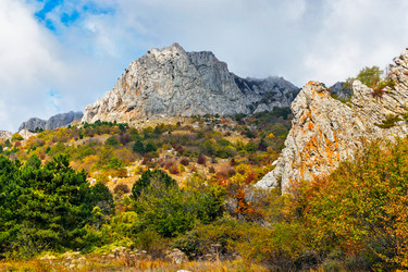 Similar image 21104102