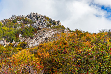 Similar image 21104105