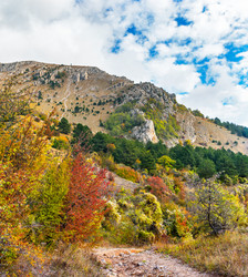 Similar image 21104106