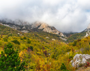 Similar image 21104109