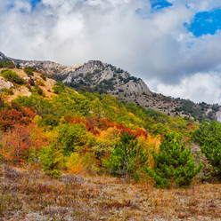 Similar image 21104112