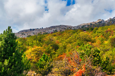 Similar image 21104113