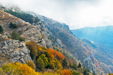 Similar image 21104114