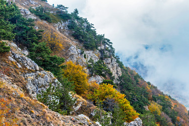 Similar image 21104115