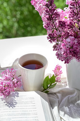 Similar image 21103765