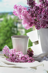 Similar image 21103766