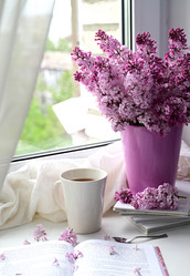 Similar image 21103767