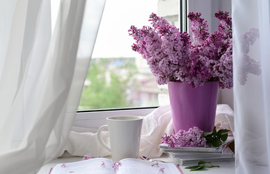 Similar image 21103768