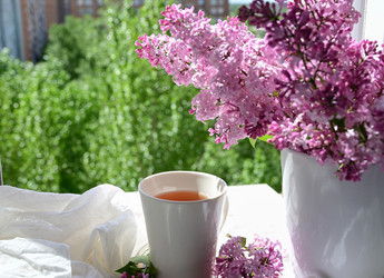 Similar image 21103770