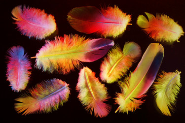 Similar image 21103157