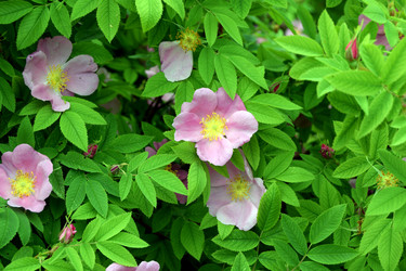 Similar image 21103166