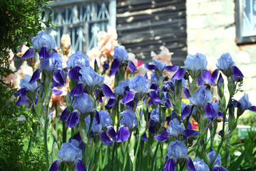 Similar image 21103172