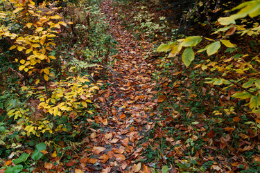 Similar image 21105265