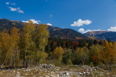 Similar image 21105268