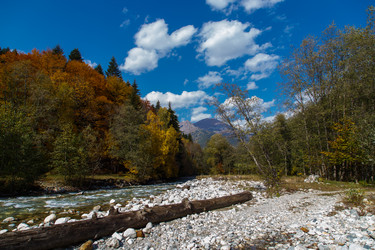 Similar image 21105274