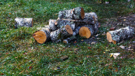 Similar image 21105276