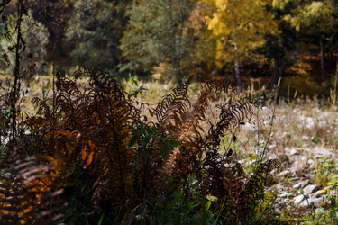 Similar image 21105277