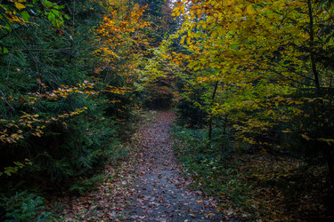 Similar image 21106380