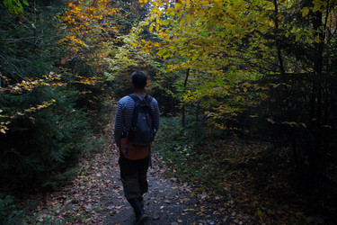 Similar image 21105284