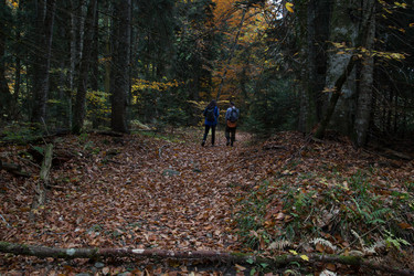 Similar image 21105285