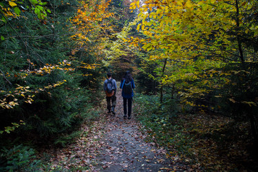 Similar image 21105286