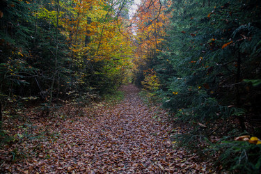 Similar image 21105288