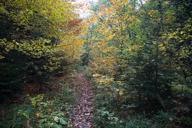 Similar image 21105325