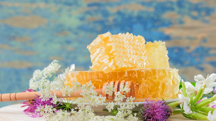 Similar image 21104621