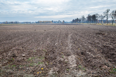 Similar image 21107768