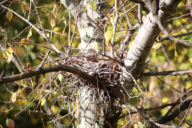 Similar image 21118608