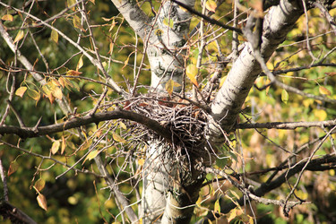 Similar image 21118611