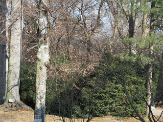 Similar image 21117019