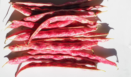 Similar image 21117042